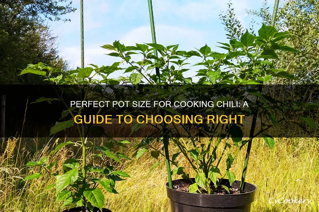 what size pot for cooking chili