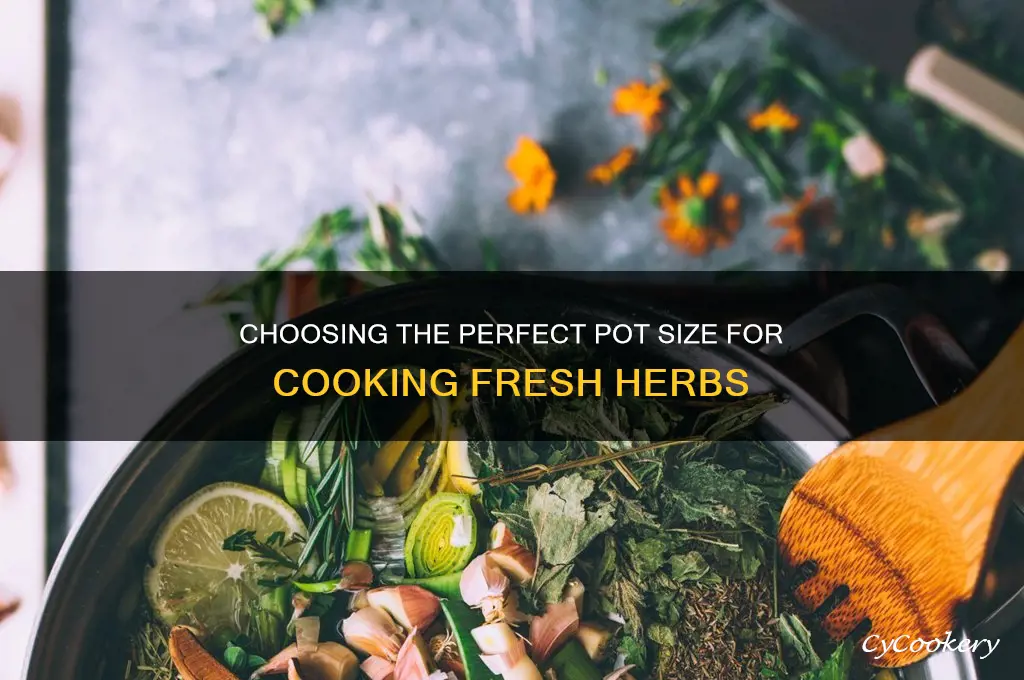 what size pot for cooking herbs