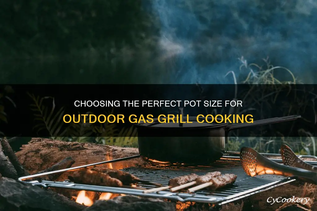 what size pot for cooking on outdoor gas grill