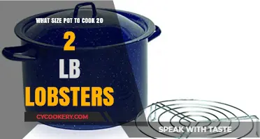 Perfect Pot Size for Cooking 20 Two-Pound Lobsters: A Guide
