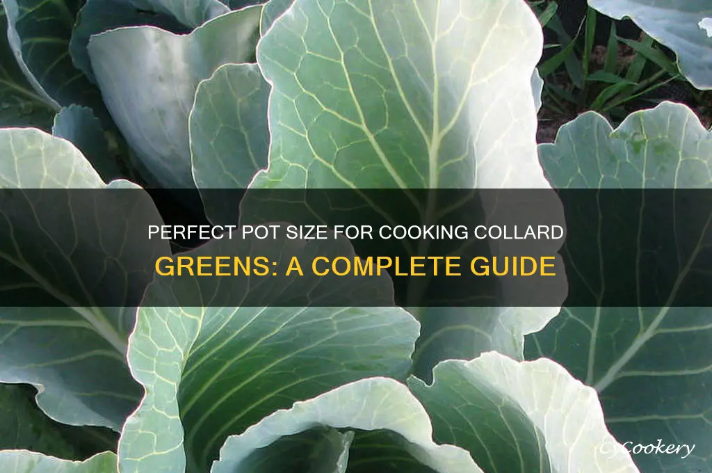 what size pot to cook collard greens