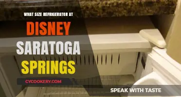 Choosing the Right Fridge Size for Your Disney Saratoga Springs Stay