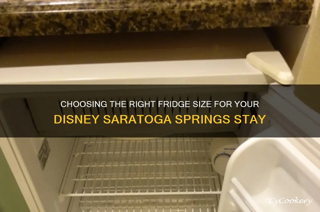 what size refrigerator at disney saratoga springs