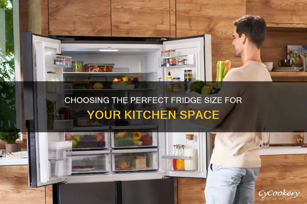 what size refrigerator can fit in my kitchen