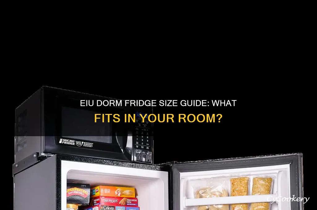 what size refrigerator is allowed at eiu