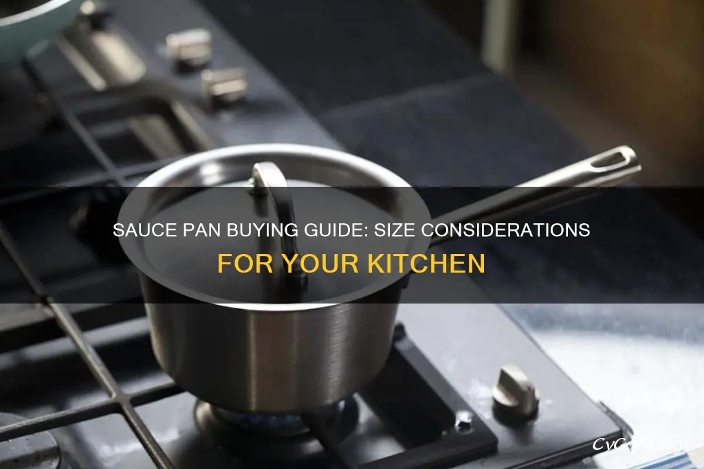 what size sauce pan should I get