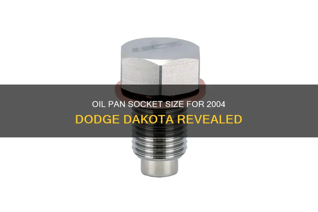 what size socket for oil pan 2004 dodge dakota