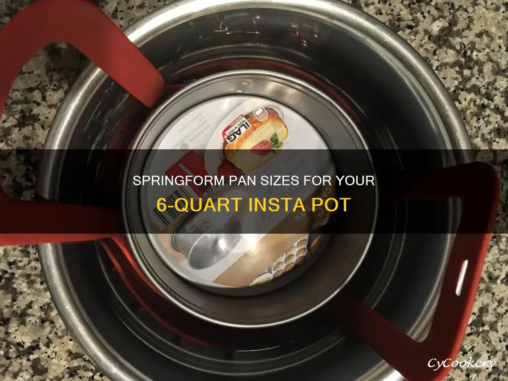 what size springform pan for 6 quart insta pot.com