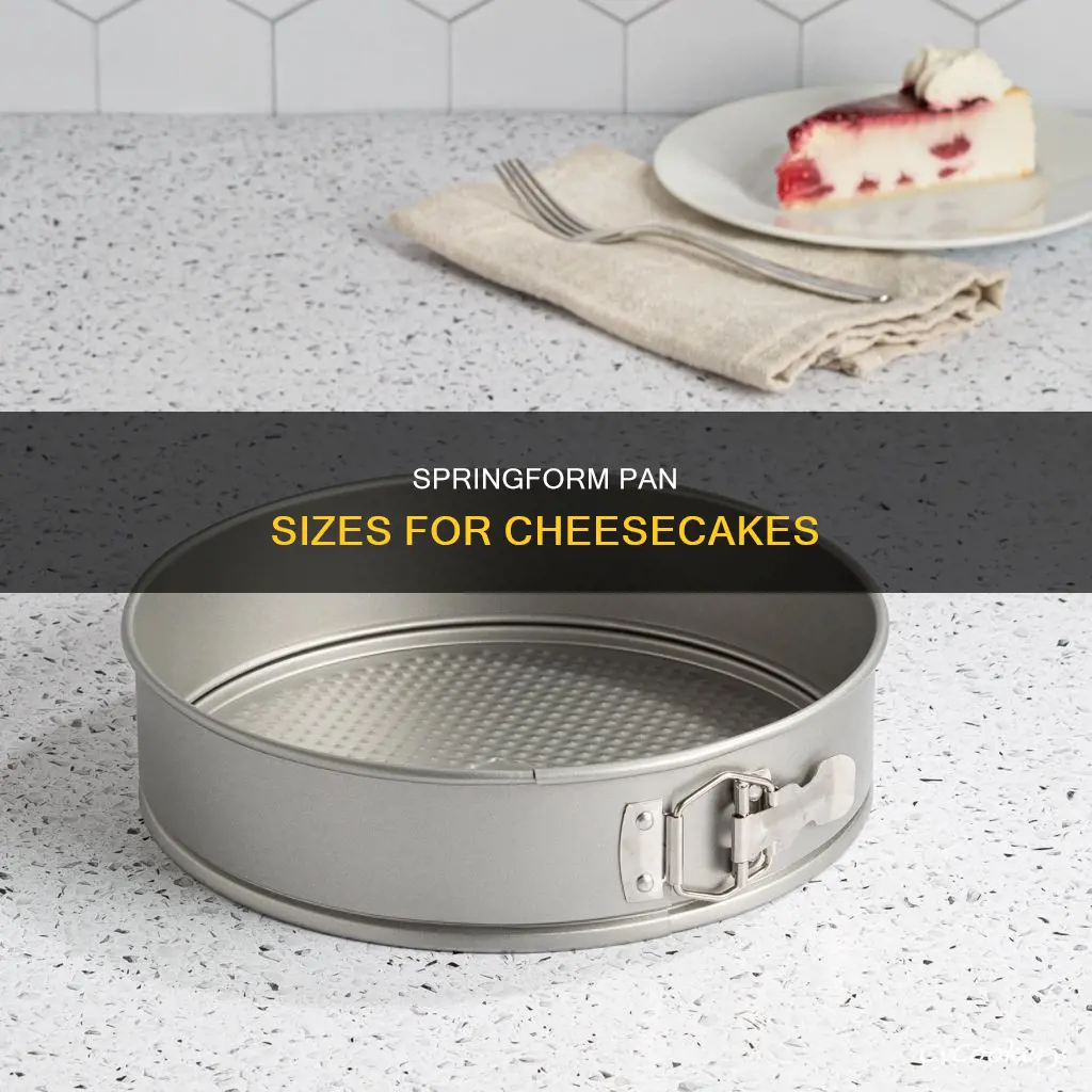 what size springform pan for cheesecake