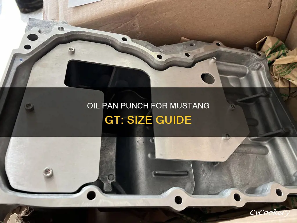 what size to punxh oil pan for tap mustang gt