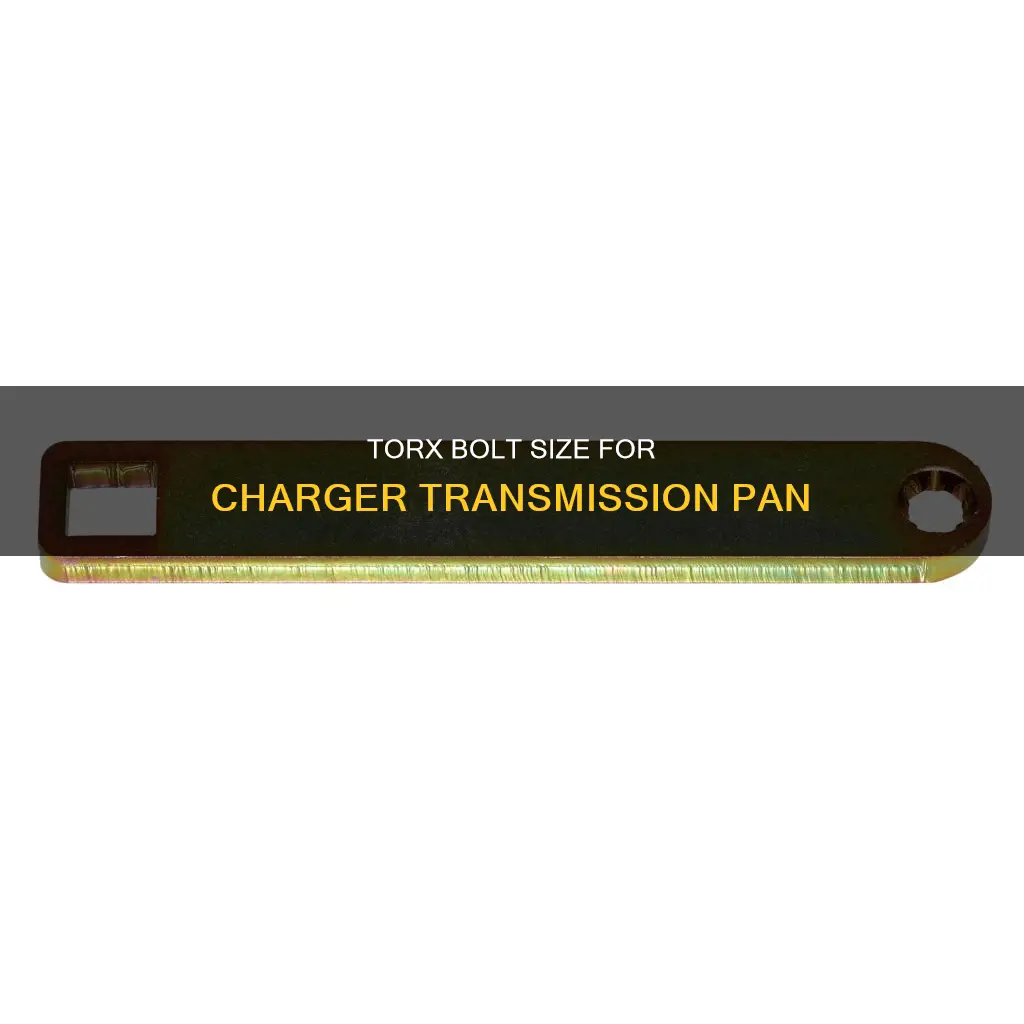 what size torx bolt for charger transmission pan