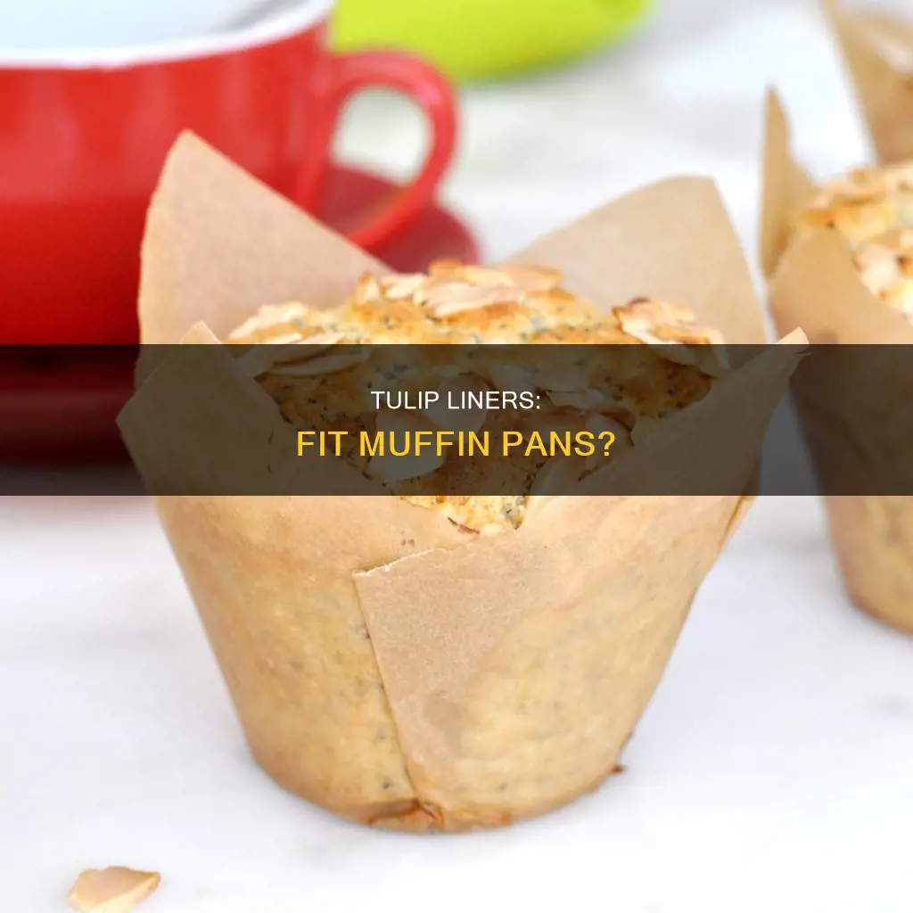 what size tulip liners go with muffin pans