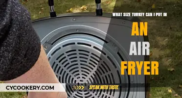 Perfect Turkey Size for Air Fryer: Tips for Delicious, Juicy Meals