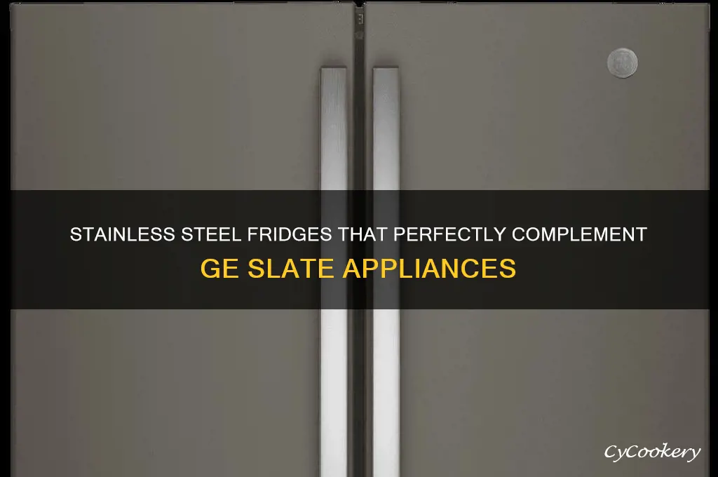 what stainless steel refrigerators match ge dlate
