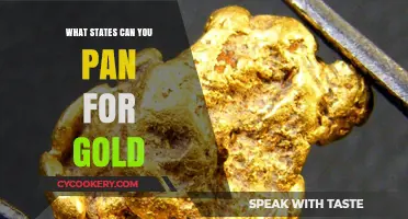 Panning for Gold: States to Strike it Rich