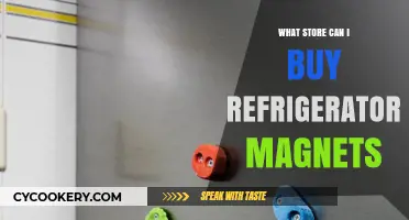 Where to Buy Unique Refrigerator Magnets: Top Stores Guide