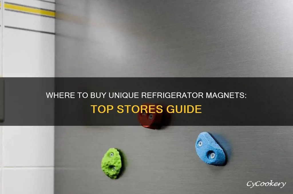 what store can i buy refrigerator magnets
