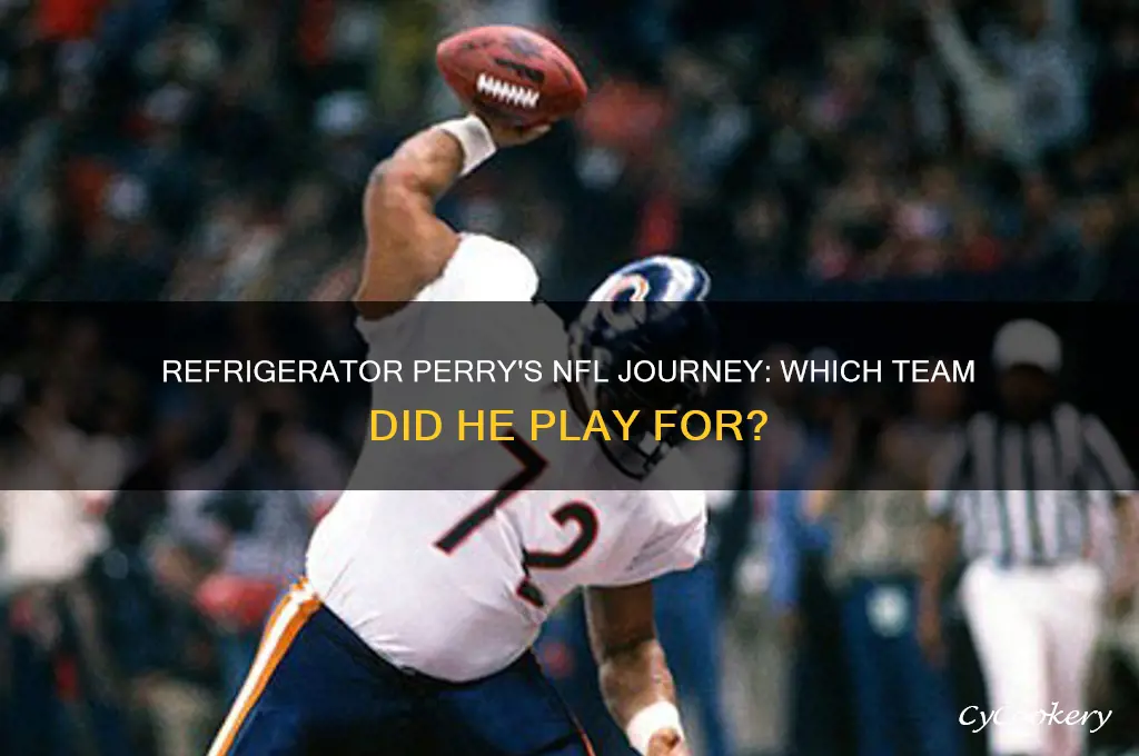 what team did refrigerator perry play for