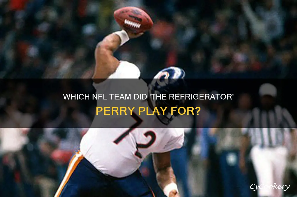 what team did the refrigerator play for