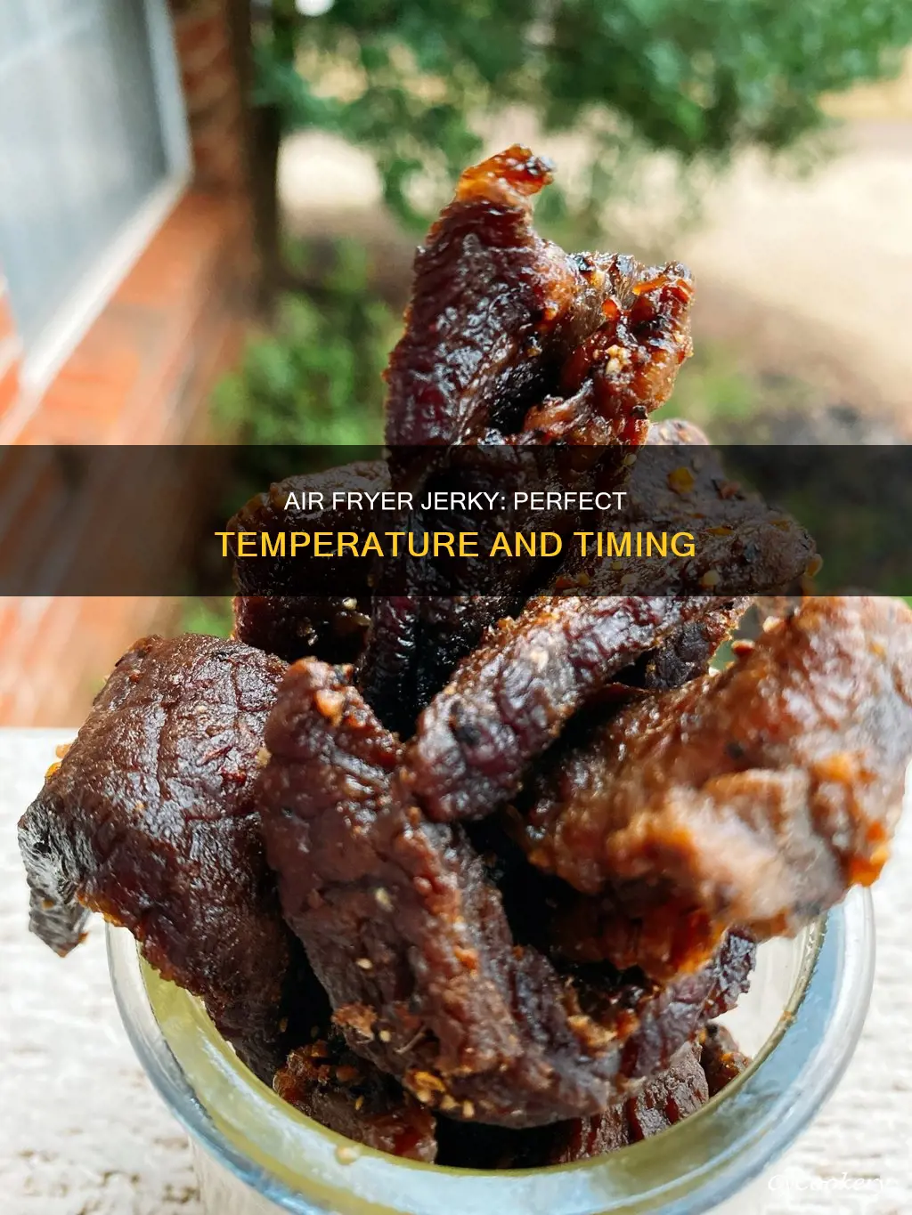 what temp and how long jerky in air fryer