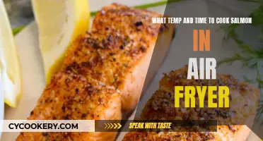 Perfectly Cooked Salmon: Air Fryer Tips for Delicious Results