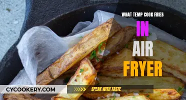 Air Fryer French Fries: Perfect Temperature Tips