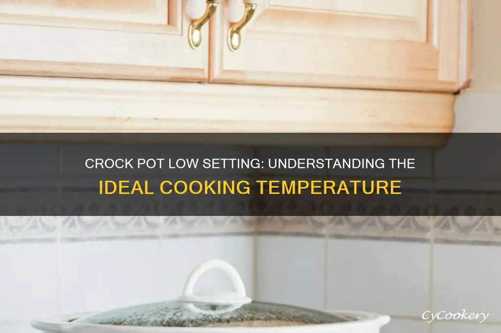 what temp dies a crock pot cook on low