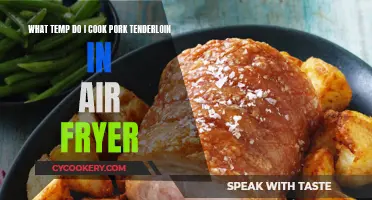 Perfectly Cooked Pork Tenderloin: Air Fryer Temperature Guide