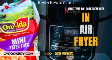 Crispy Tater Tot Transformation: Air Fryer Secrets Revealed!