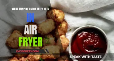 Air Fryer Tater Tots: Perfect Temperature Tips