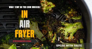 Air-Fryer Broccoli: Cooking Temp and Tips