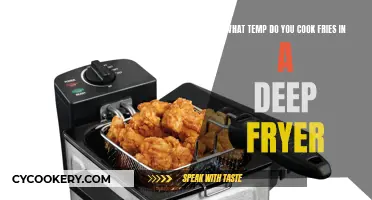 Mastering the Perfect Fry: Deep-Frying Temperature Secrets Revealed