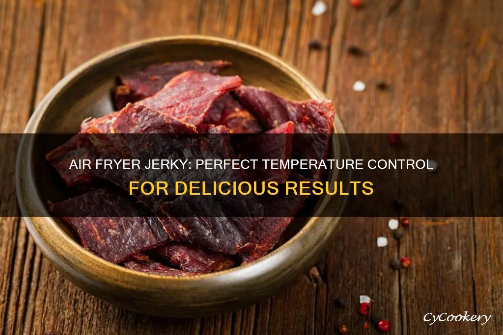what temp do you cook jerky air fryer