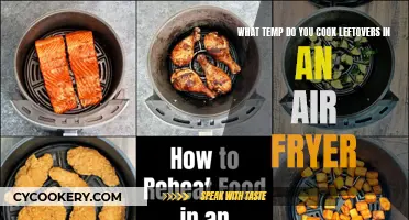 Mastering Leftovers: Air Fryer Temp Guide for Perfect Results