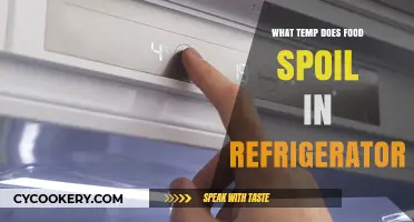 Optimal Fridge Temps: Preventing Food Spoilage and Ensuring Freshness