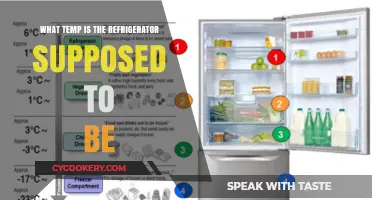 Ideal Fridge Temperature: Keeping Your Food Fresh and Safe