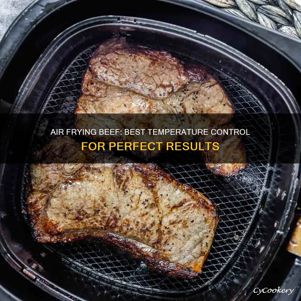 what temp to cook beef in air fryer