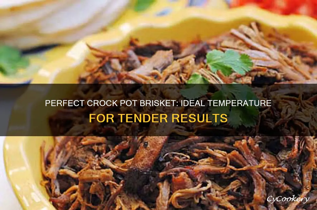 what temp to cook brisket in crock pot