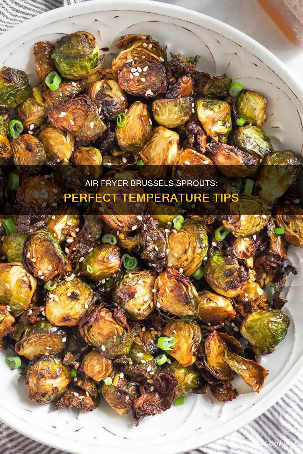 what temp to cook brussel sprouts in air fryer