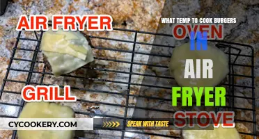 Mastering the Perfect Burger: Air Fryer Temperature Guide