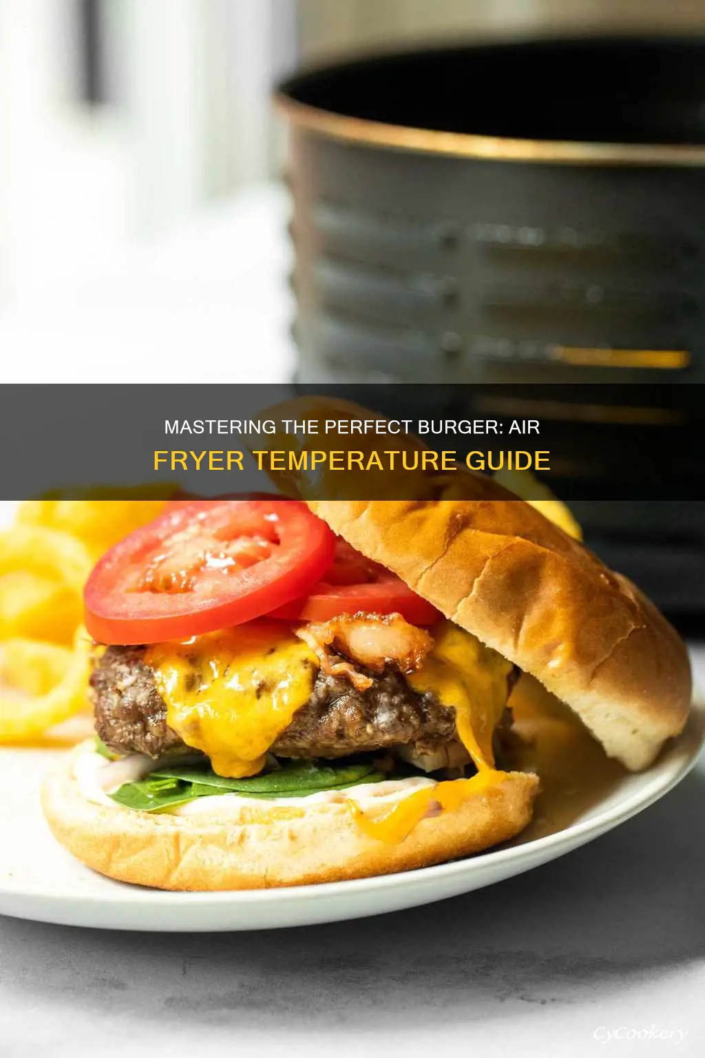 what temp to cook burgers in air fryer