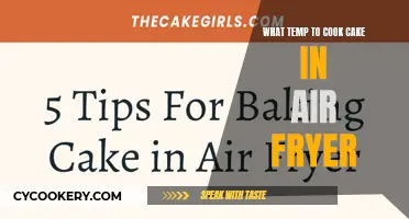Air-Fryer Baking: Perfect Cake Temperature Tips