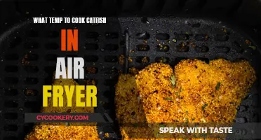 Air-Fryer Catfish: The Perfect Temperature for Crispy Goodness