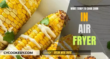 Perfectly Cooked Corn: Air Fryer Temperature Guide