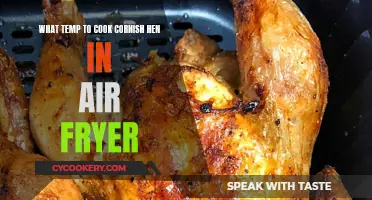 Perfectly Roasted Cornish Hens: Air Fryer Temperature Guide