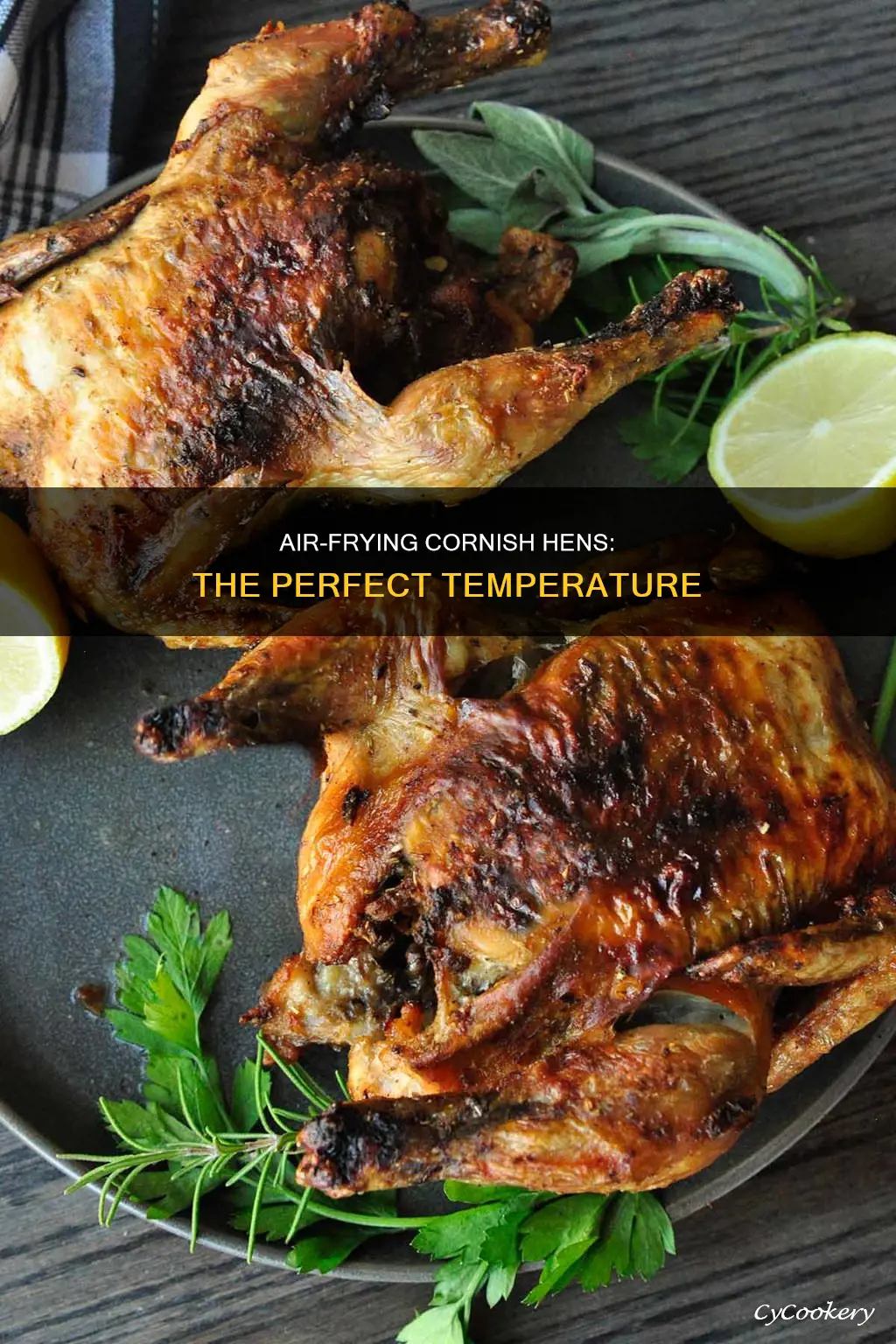 what temp to cook cornish hen in air fryer