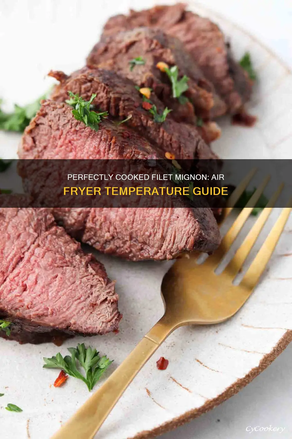 what temp to cook filet mignon in air fryer