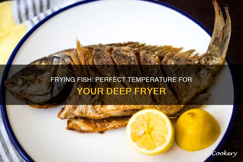what temp to cook fish in deep fryer