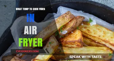 Crispy, Golden Fries: The Perfect Air Fryer Temperature