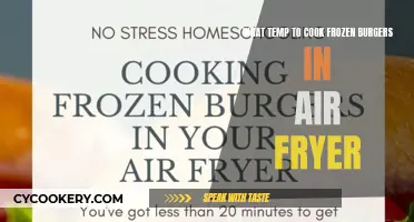 Air Fryer Hack: Best Temperature for Frozen Burgers